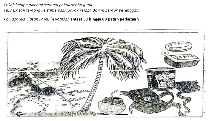 Contoh Jawapan Bahasa Melayu Penulisan Upsr Bahagian B 2 Bumi Gemilang